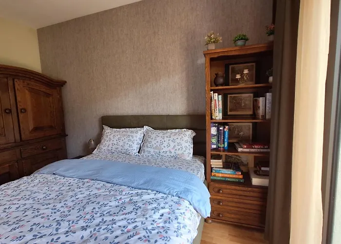 Nikola's Center Garden View